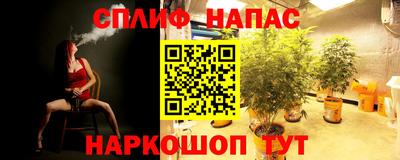 бошки Моздок