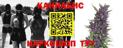 дживик Можга