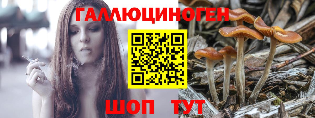 Усть-Илимск  Галлюциногенные грибы мицелий  Псилоцибиновые грибы ЛСД  Вход с VPN 